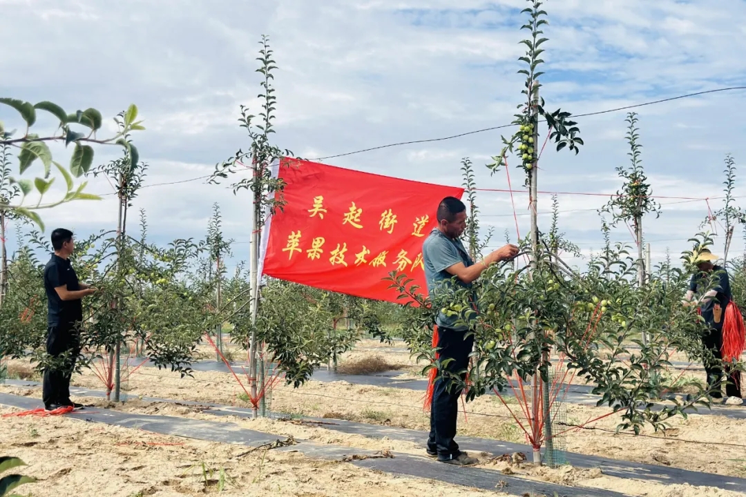 图示, 示意图&#10;&#10;中度可信度描述已自动生成