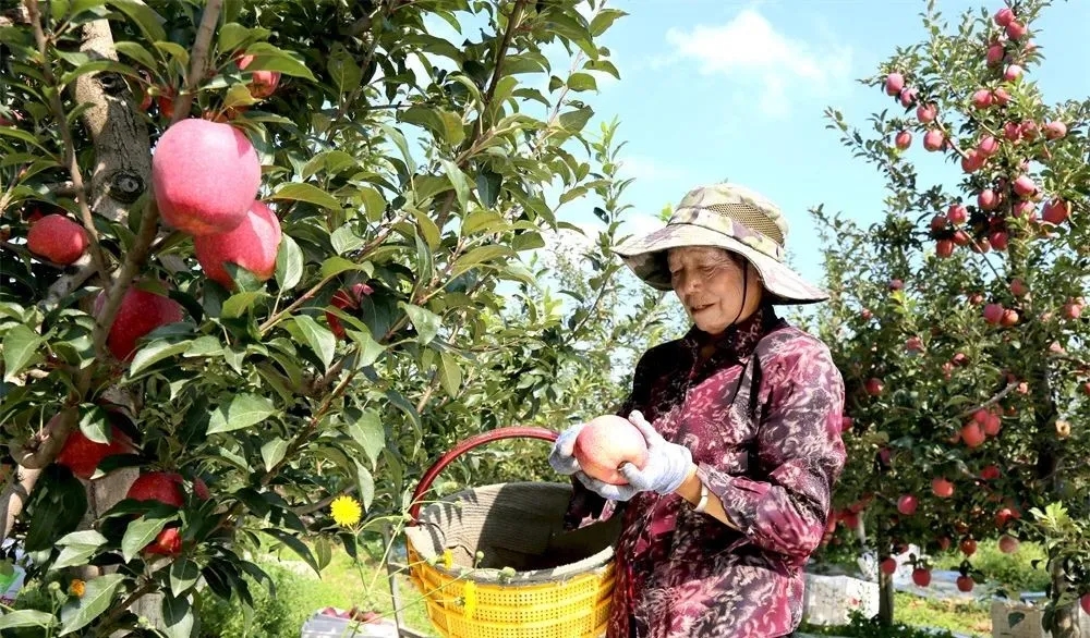 图示, 示意图&#10;&#10;中度可信度描述已自动生成