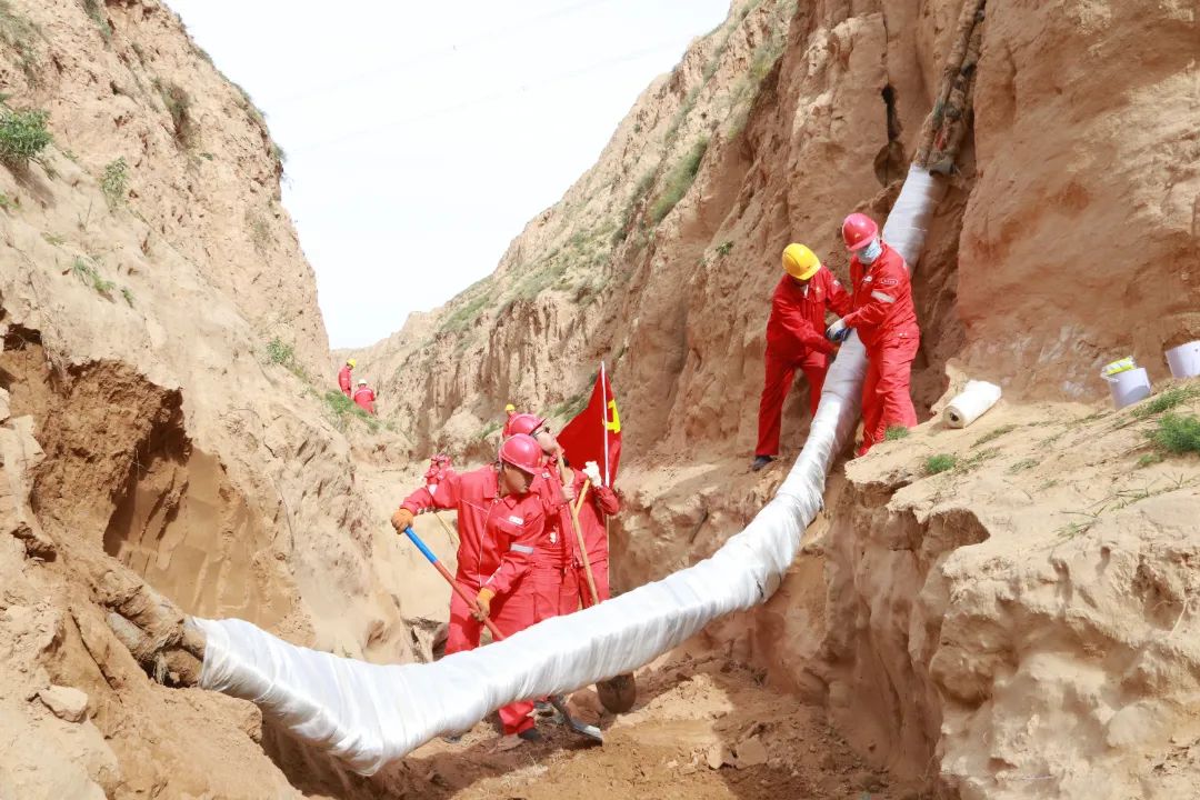 图示, 示意图&#10;&#10;中度可信度描述已自动生成
