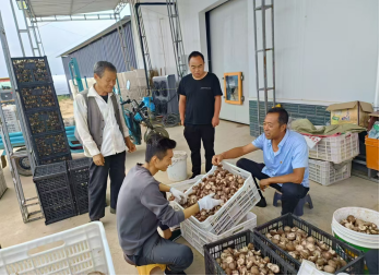 图示, 示意图&#10;&#10;中度可信度描述已自动生成