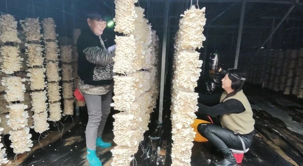 图示, 示意图&#10;&#10;中度可信度描述已自动生成