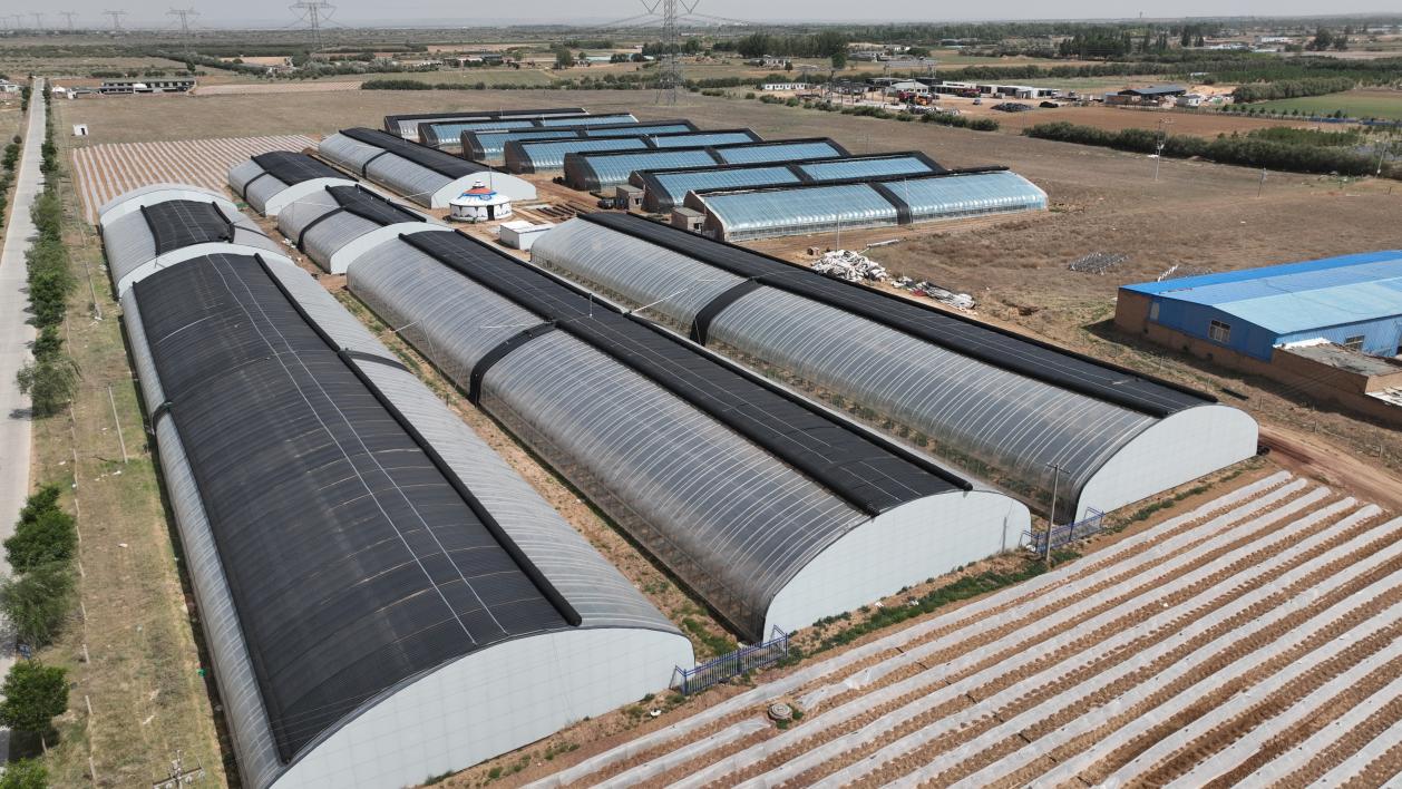 微信图片_20240524082139