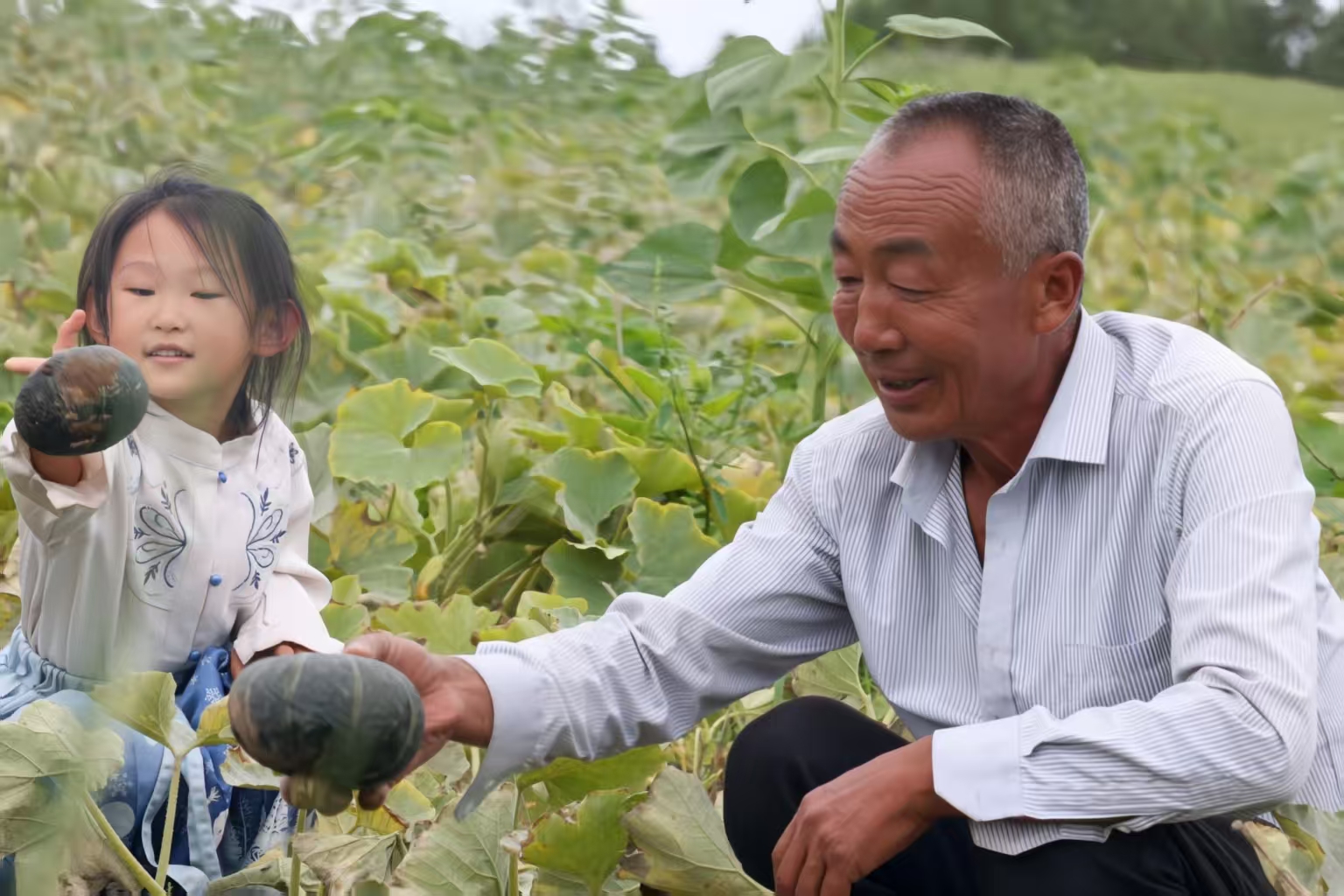 微信图片_20250814101748_357