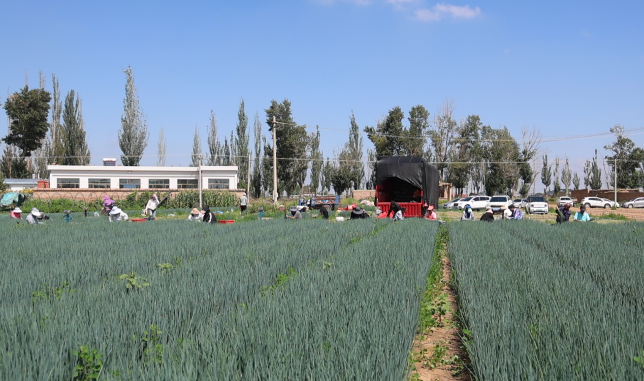 1d64ed6082dea1041071bbc1bdf0c3b