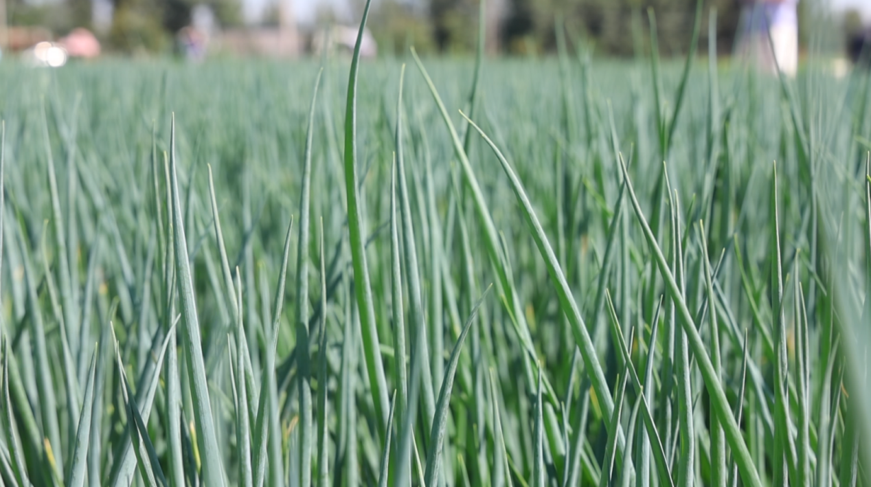 a9a5ea30092c48db7684f066984d88a