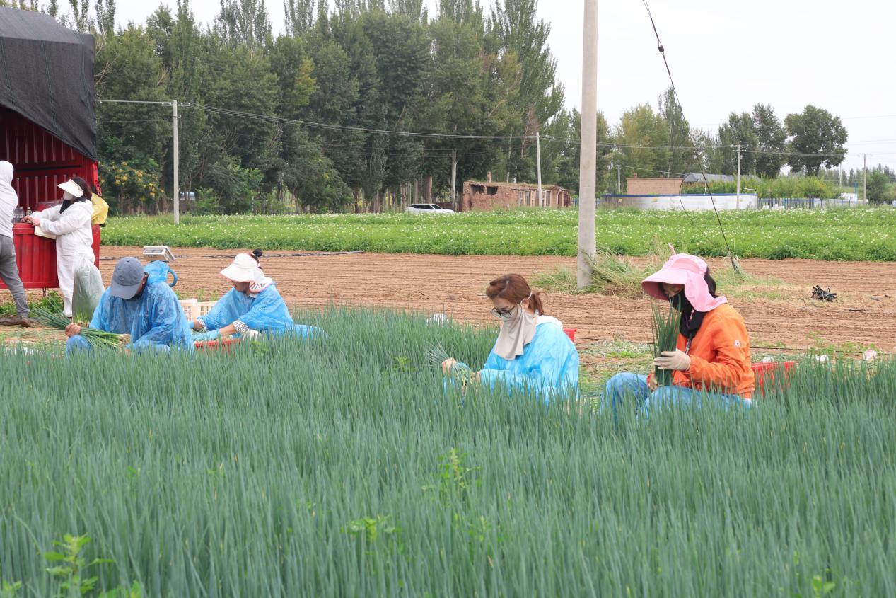 451c8c46c49c58c8411ea7b31c97994