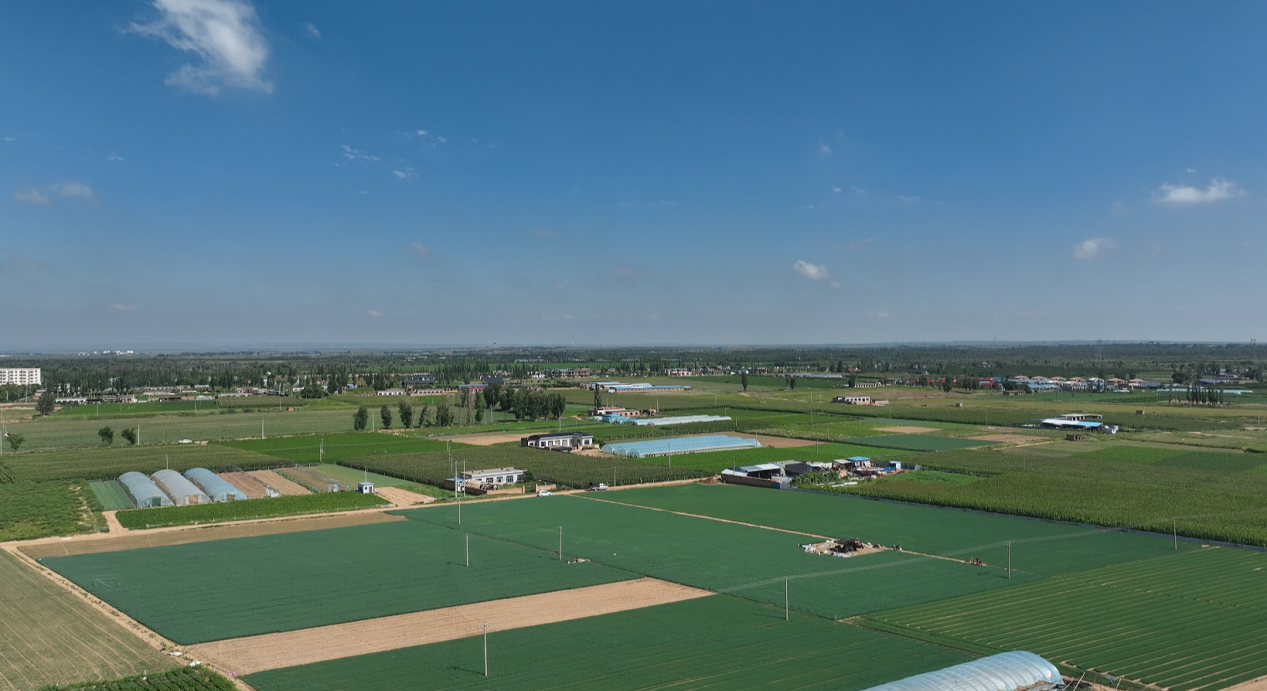 541f2e565d77d1c0ec798fff1cab59c