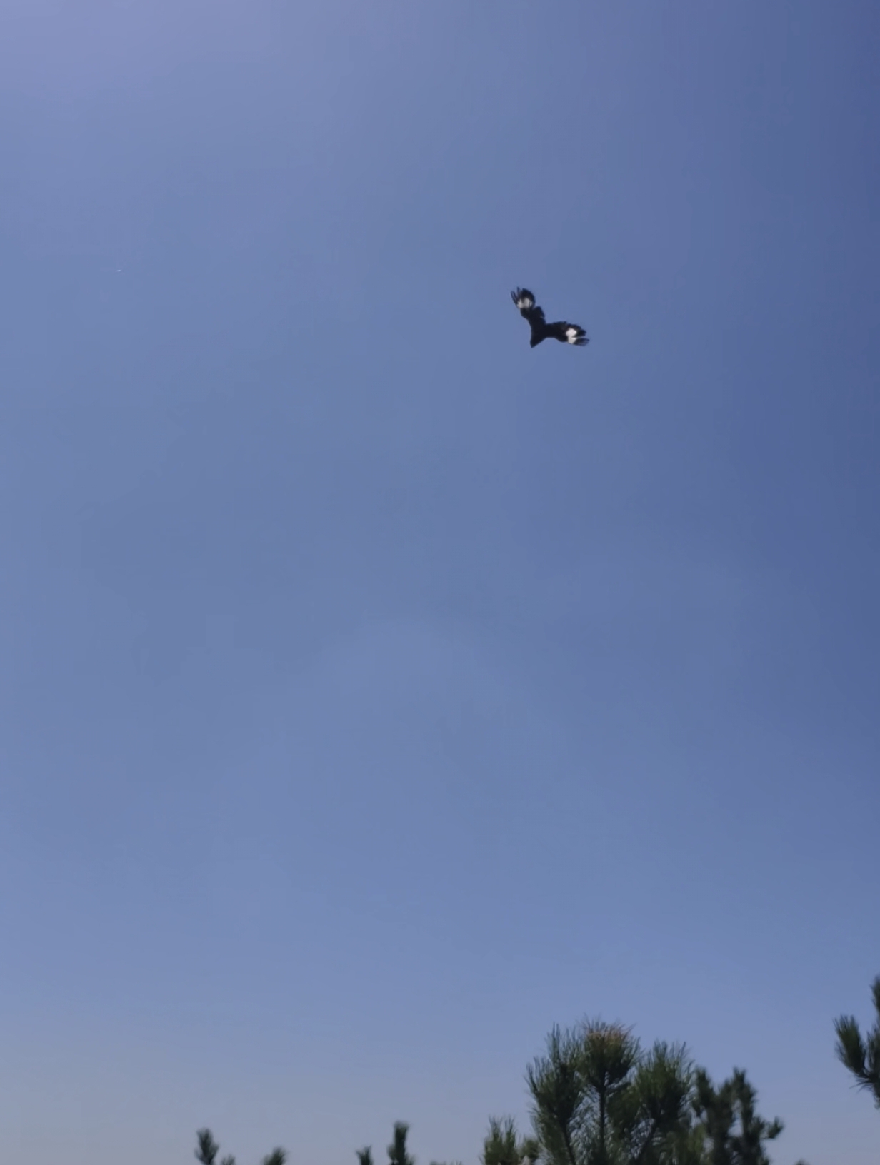 94d55950dacd0904f37c81906fc58e6e