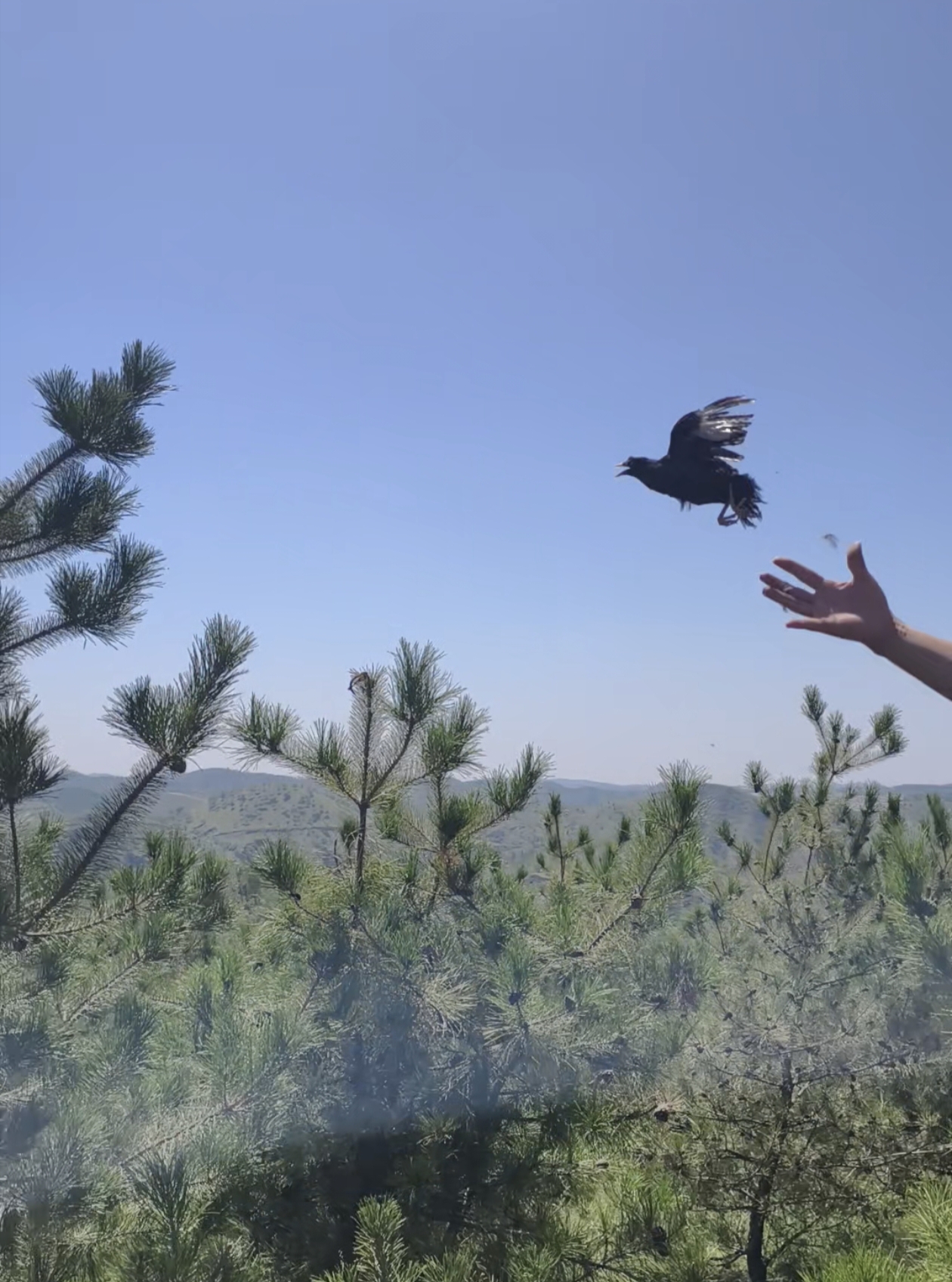 f686b428de41dfb30c4a389193fd8931