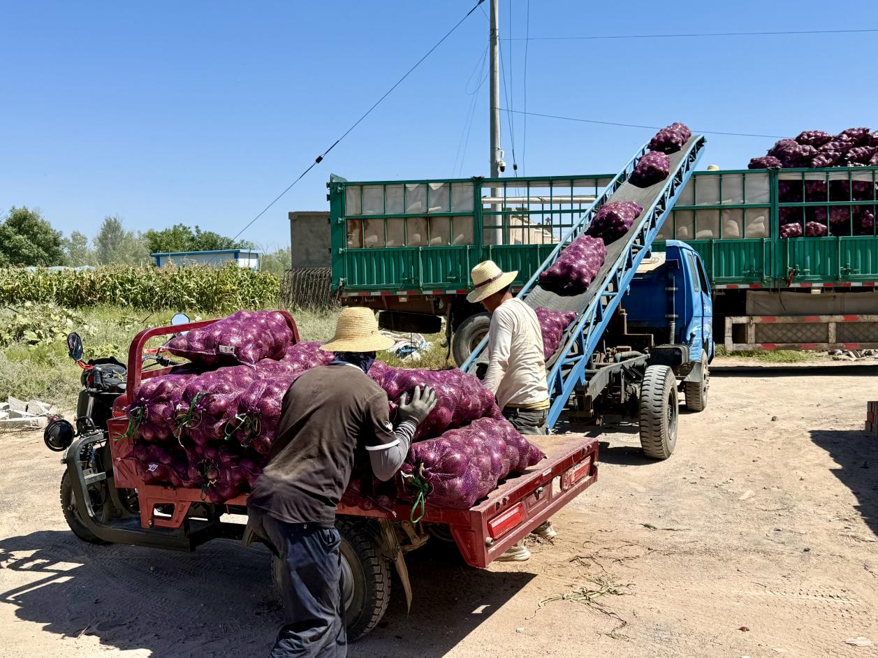 9e23521d441da4897dfe1c67ad32b594