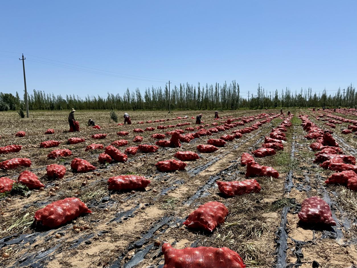 926290f86173978979f4699a4bc19a0a