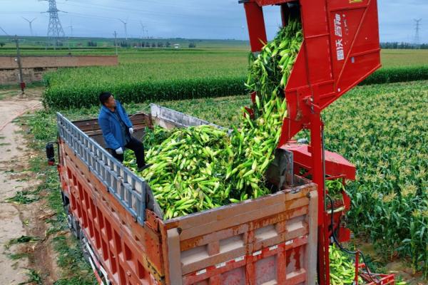 9036eb590863aae677008f71ee18a5a2