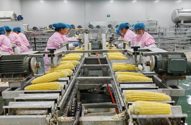 f580bab967752cedcffaffd912192098