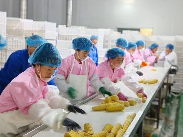 2c09b1e026eaa175a751bbb0ffe2e48e