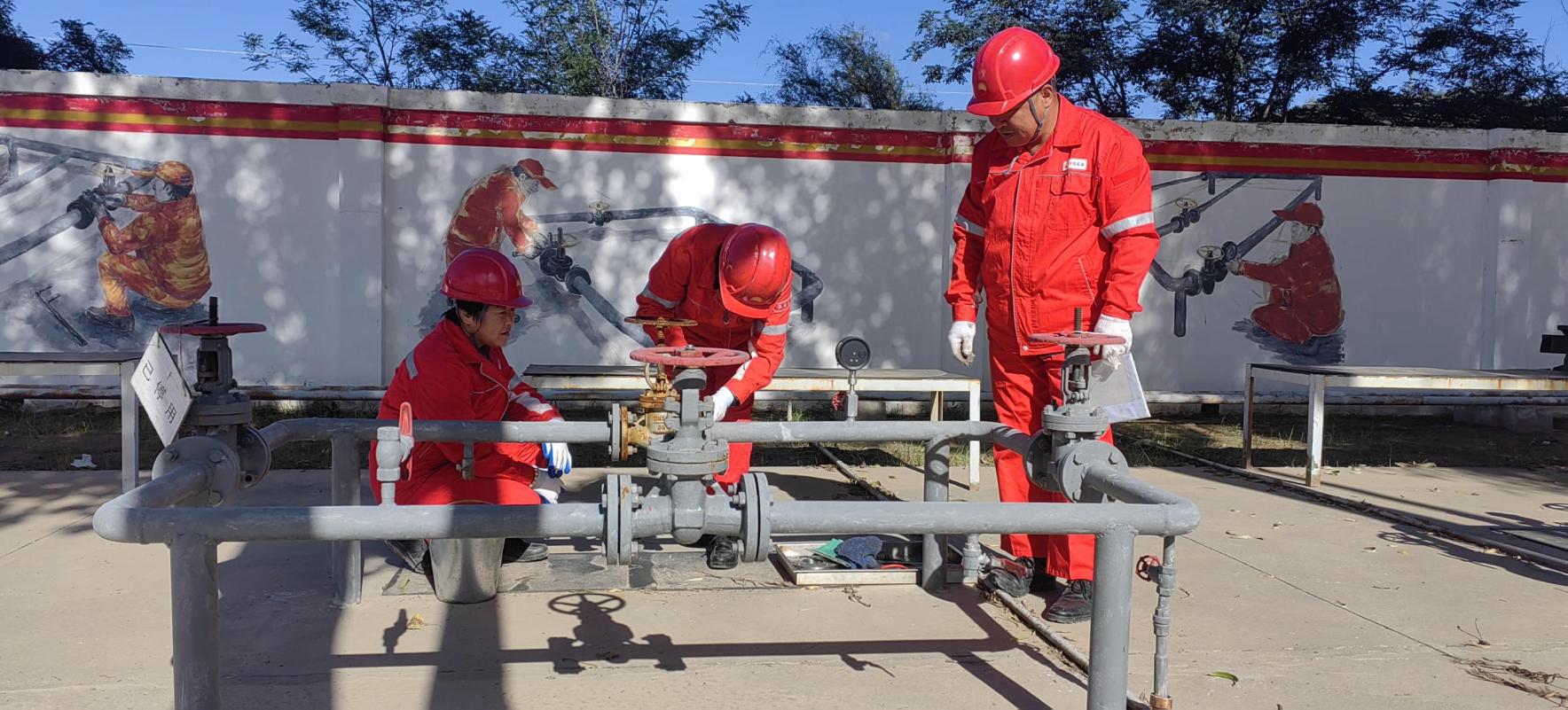 ff886fe7377576efd27bd570d548141a