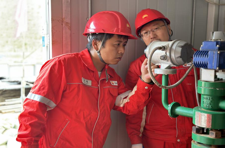 12261524989119406477(1)