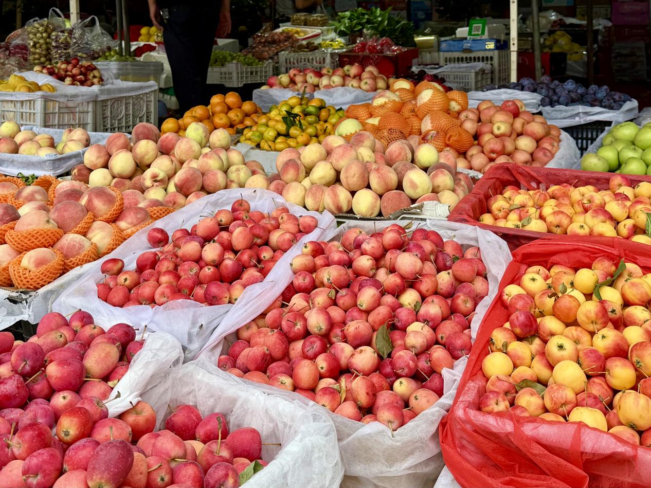 2dffbbec5ace8d197e9436de77886cc