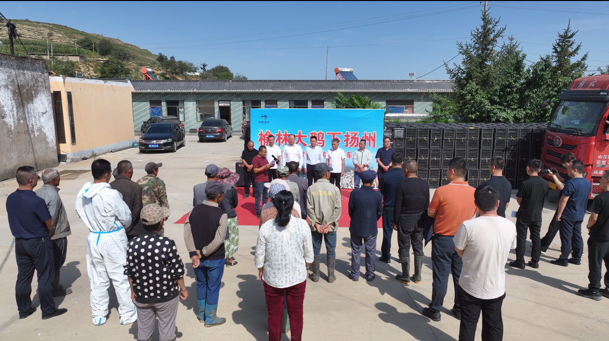 5088f7ba-e956-4384-8549-328eedc5b137