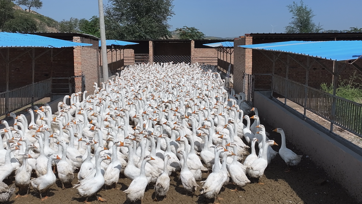 8a0ef741-ad56-4883-9b36-0b15c4a34d43