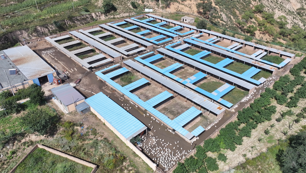 7de358c5-9f1c-449b-9734-1f7bdc0be146