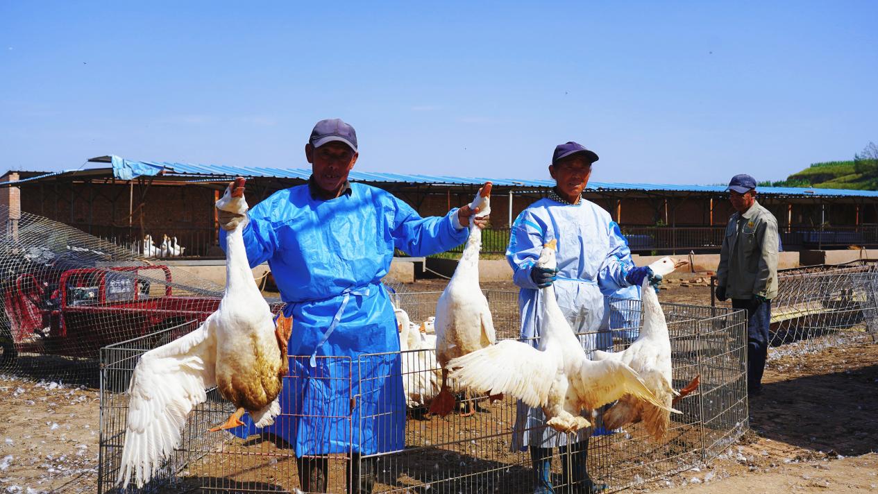 0919e0eee57a970a2461ee7a42ce9a2c