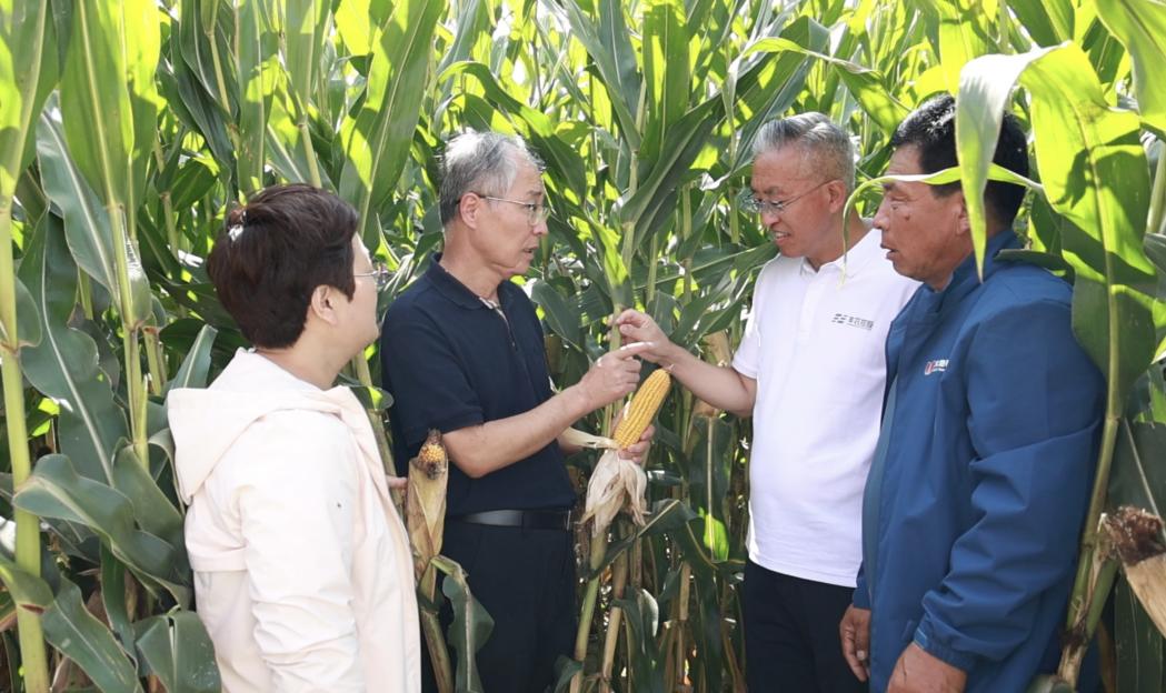 8bda96d433070448052713771fcaaa0d