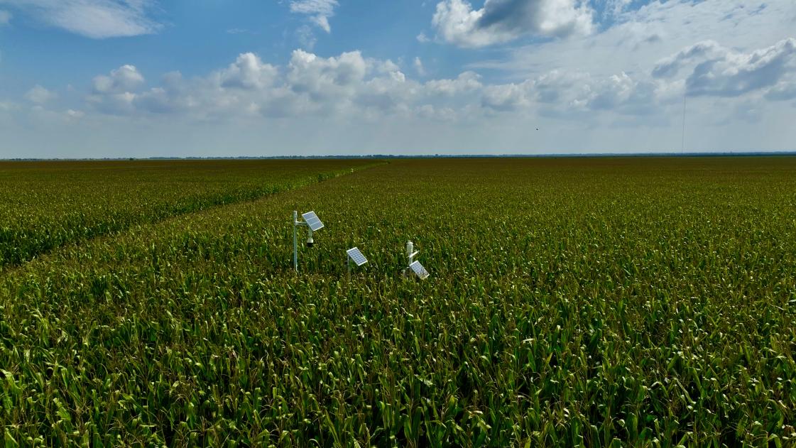 245b9392d73900481b2f4b9642efdf75