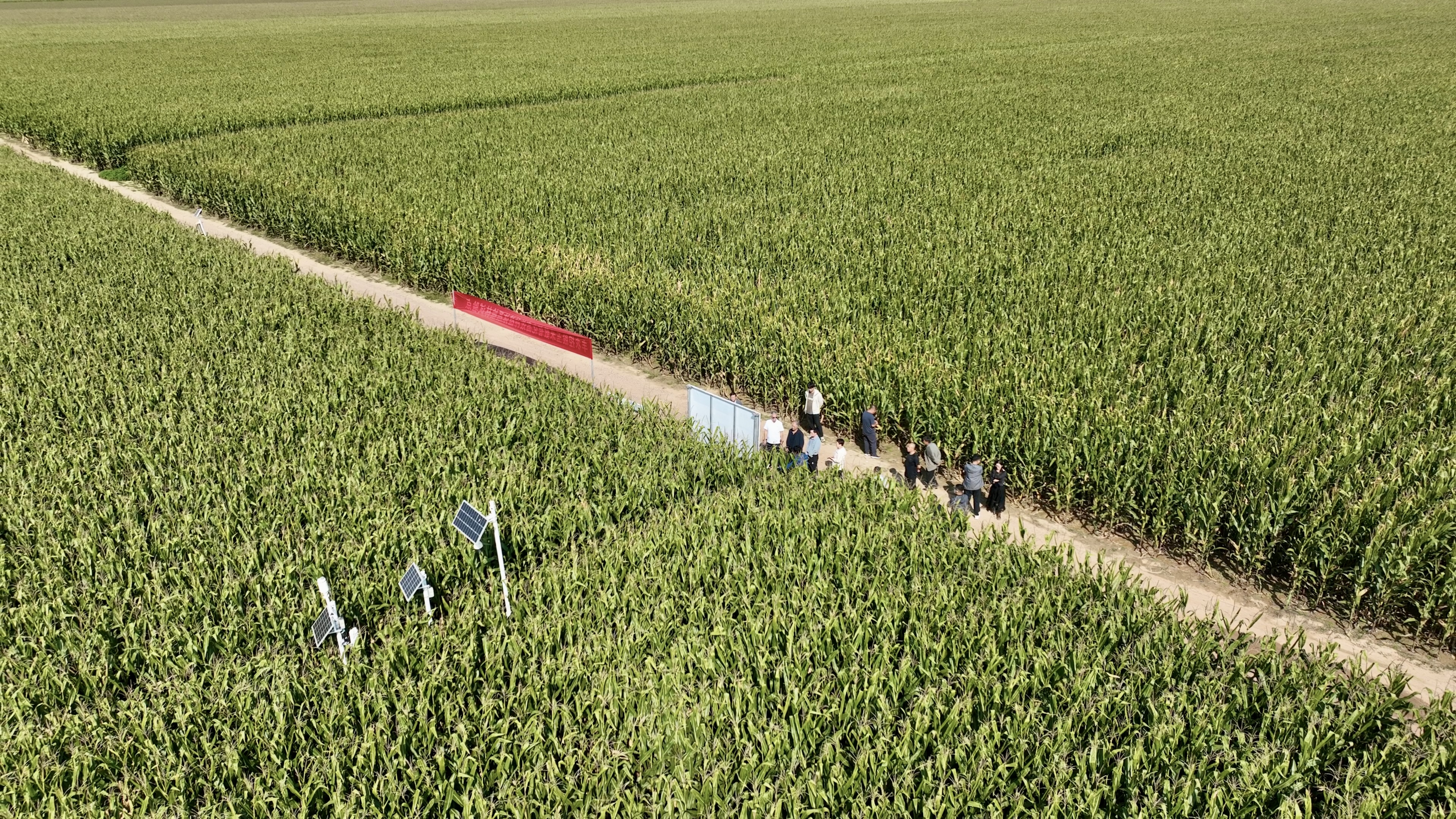 f59b74ba2e8a68765276e80d2aacff90