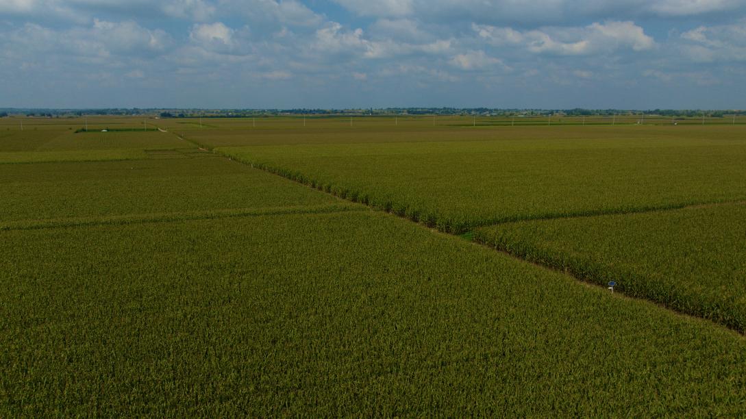 f6c230accb7a31e14af5755e46dcd6cc