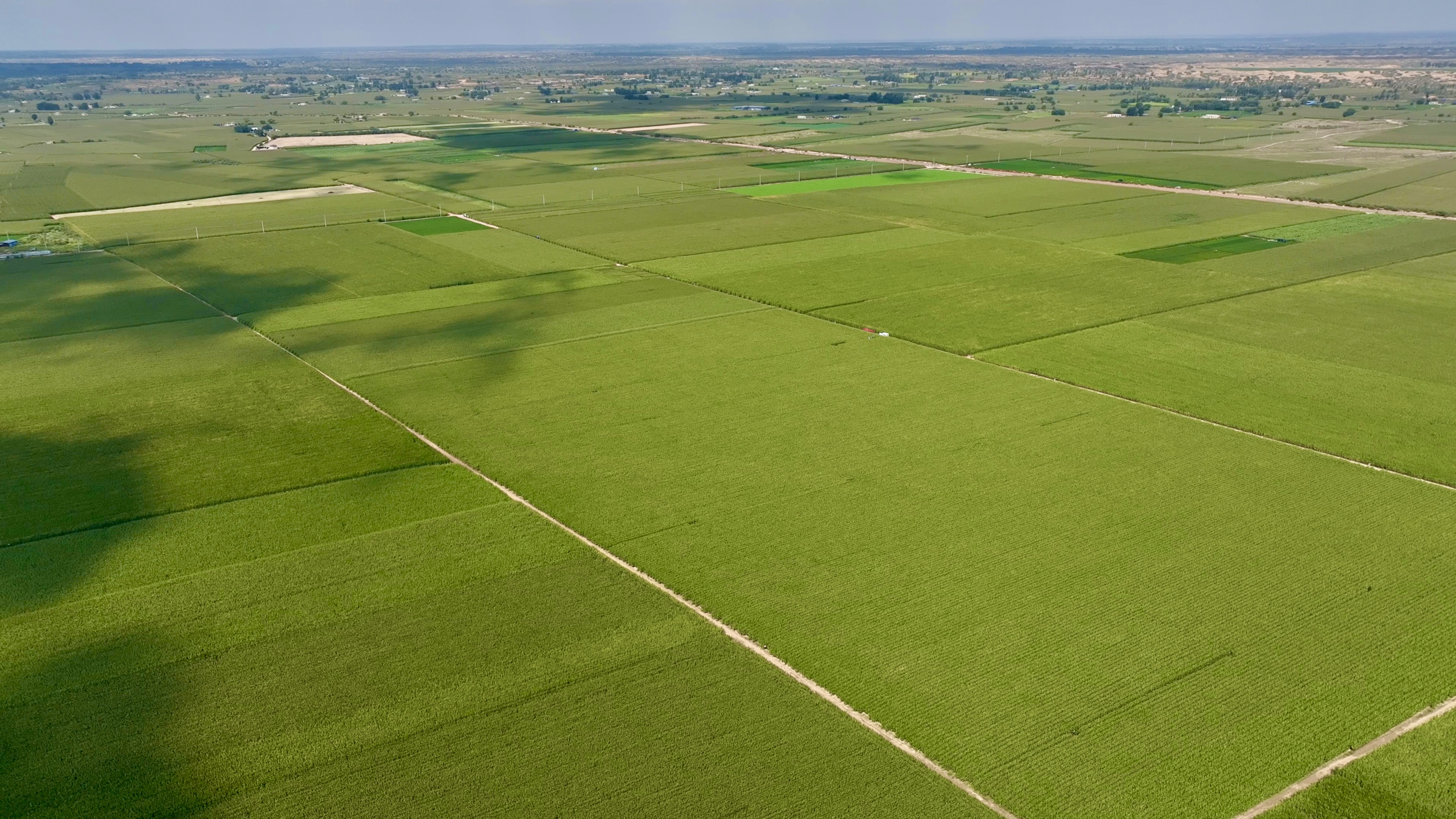 893d7383cd9d4e5ca3b84680d5958ff0