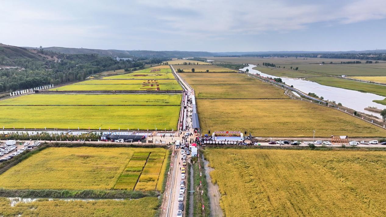 微信图片_20250928213532_8_87