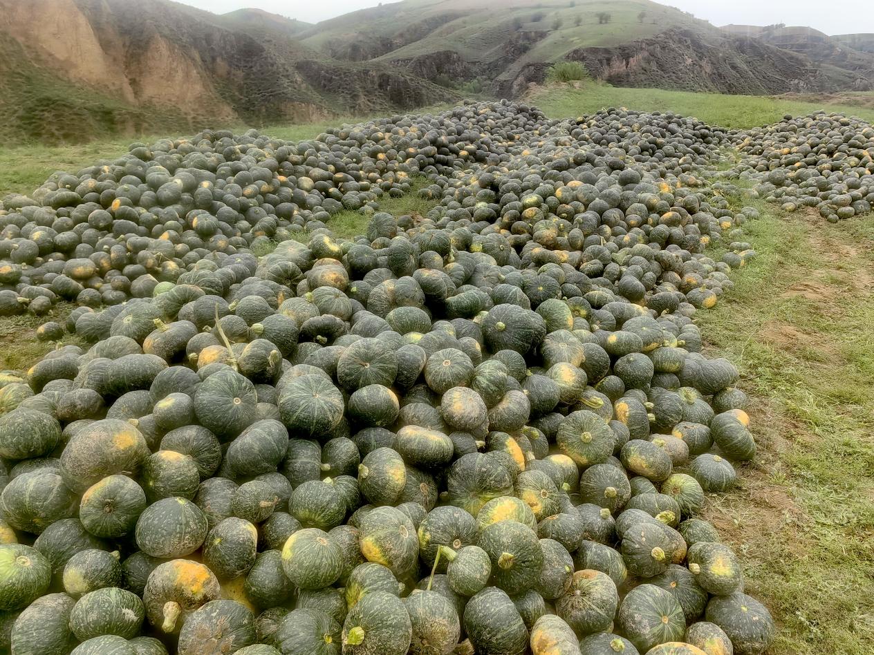 1ce3020edf873e71a2ad1c3e54529e9