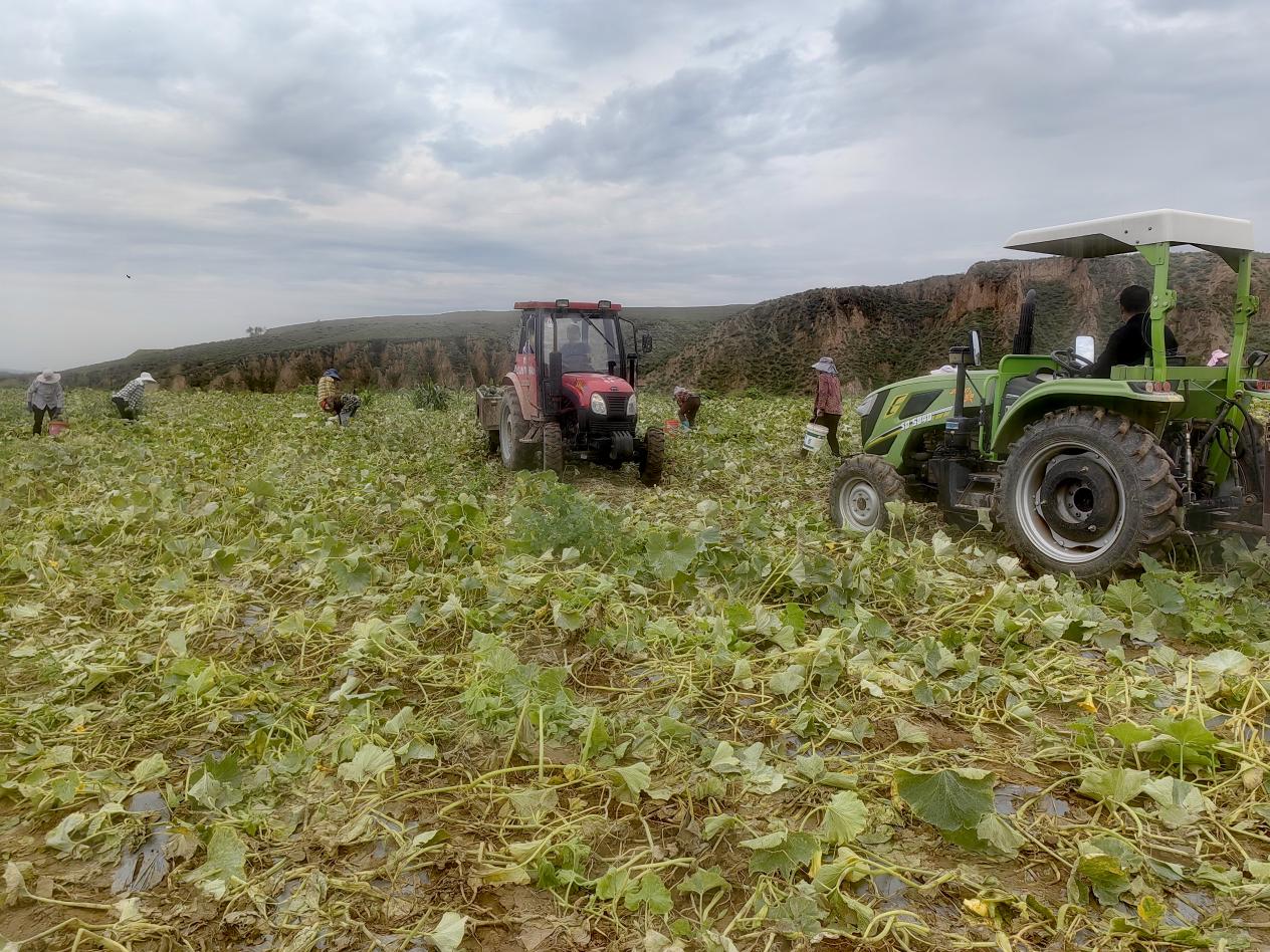 6fc556c6d70c26e30086c65aade0582