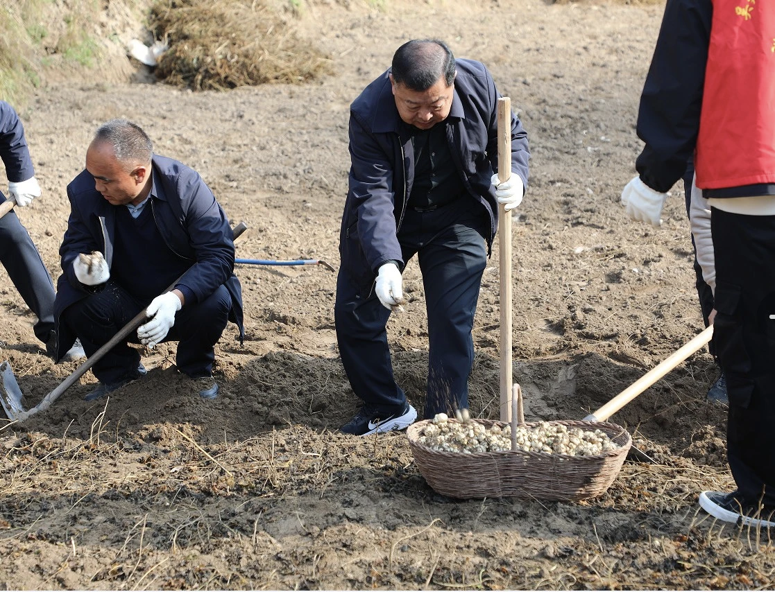 图示, 示意图 中度可信度描述已自动生成:ver1