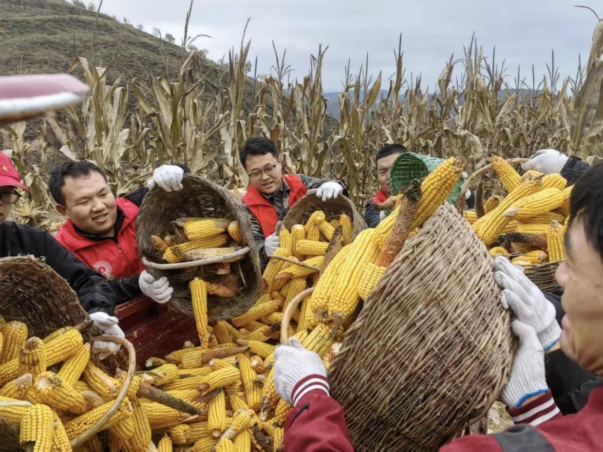 图示, 示意图 中度可信度描述已自动生成:ver1