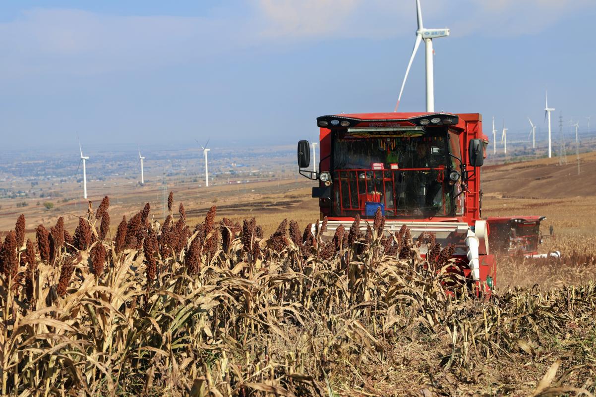 微信图片_20251106090708_2_2