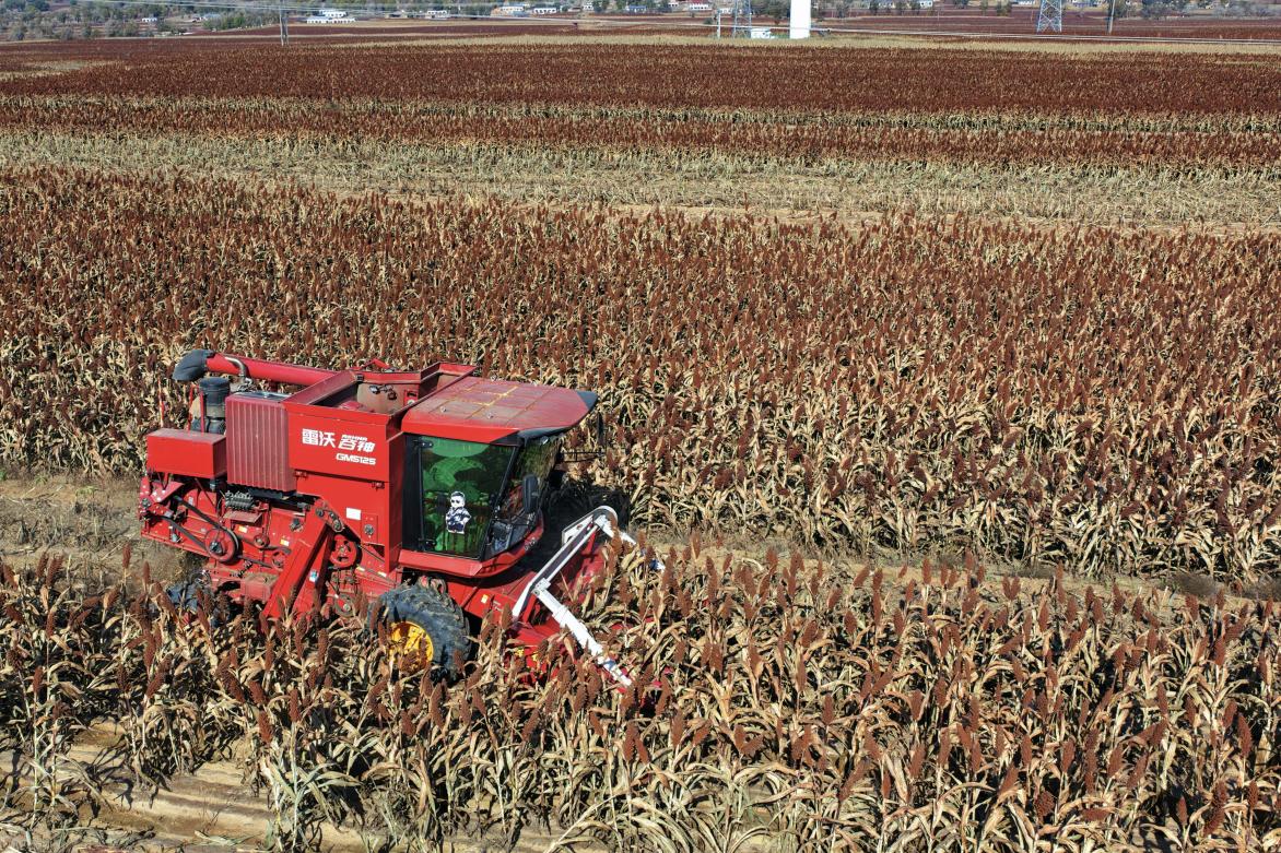 微信图片_20251106090725_5_2