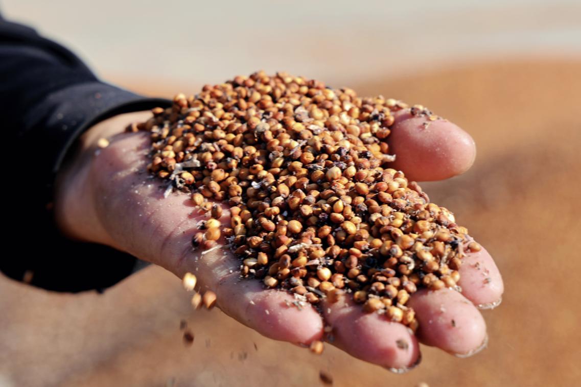 微信图片_20251106090710_3_2