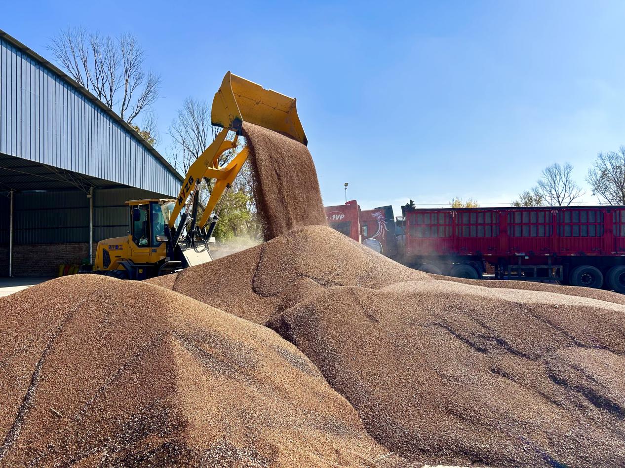 微信图片_20251106090706_1_2