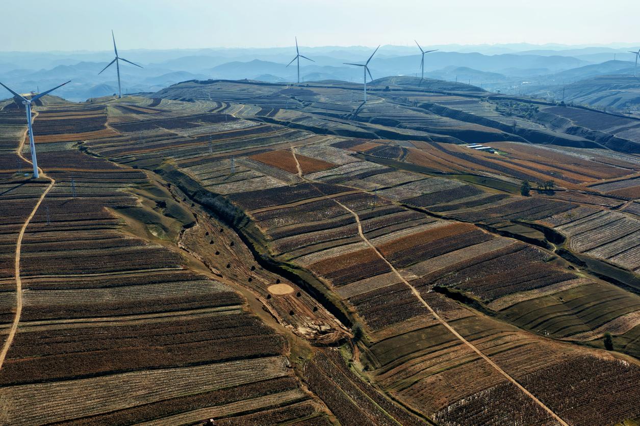 微信图片_20251106090727_6_2