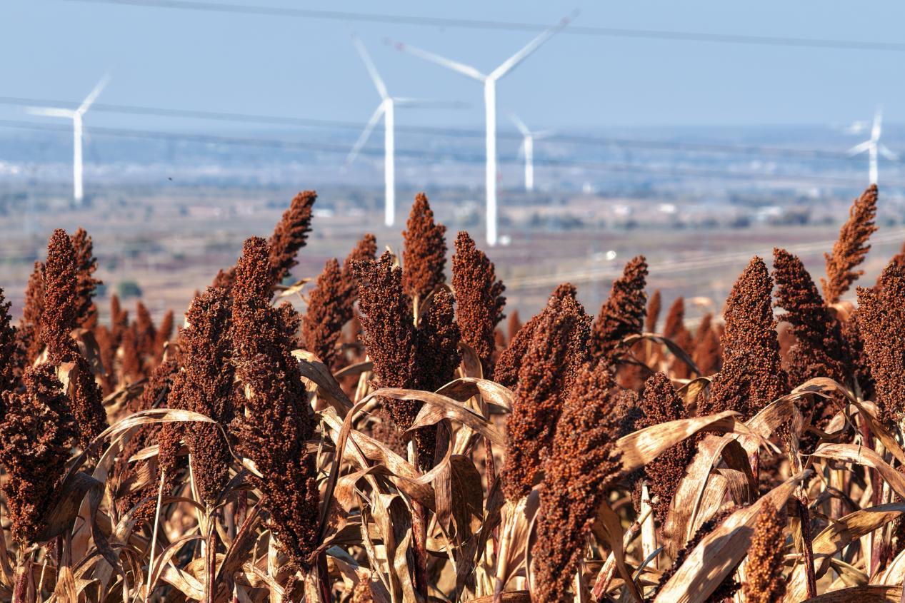 微信图片_20251106090729_7_2