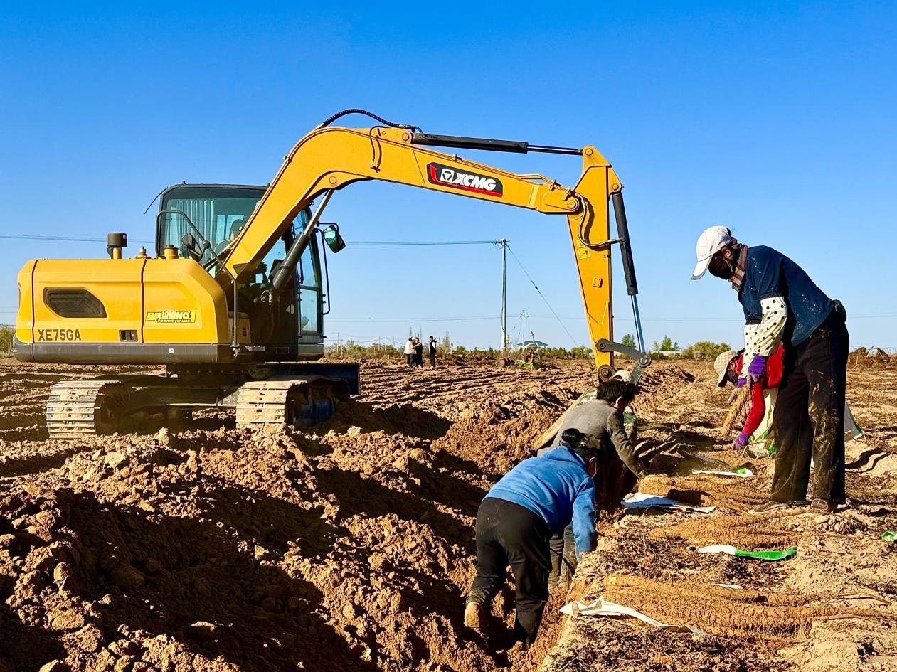 2b255593edb17a933a2acabab4fa37fd