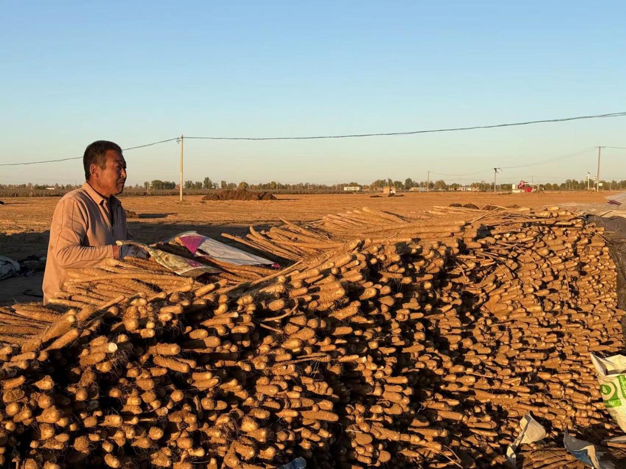 c1e082928d5eb5f5b4df034d65eed1cf