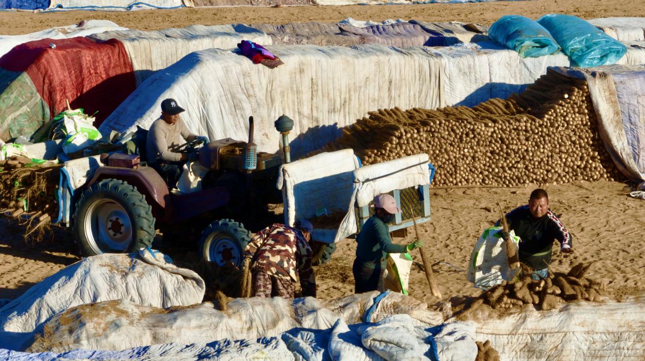 90c804c662310d51df59fc04bcb50460