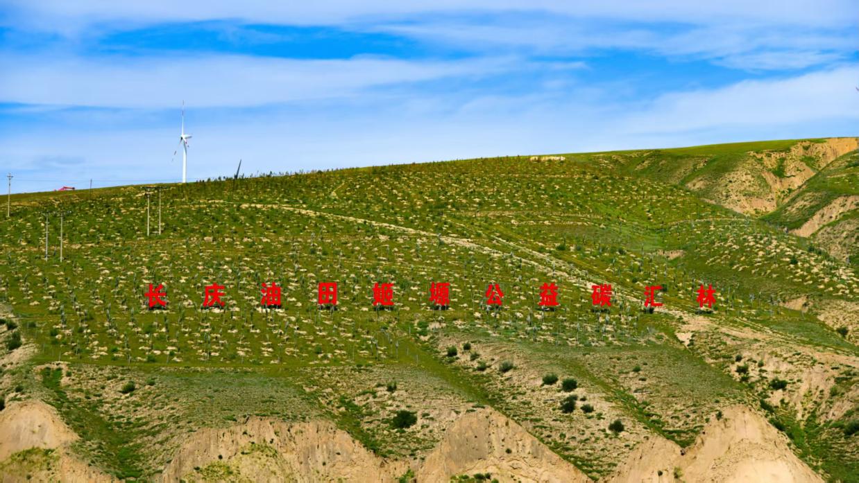 图示, 示意图&#10;&#10;中度可信度描述已自动生成:ver1