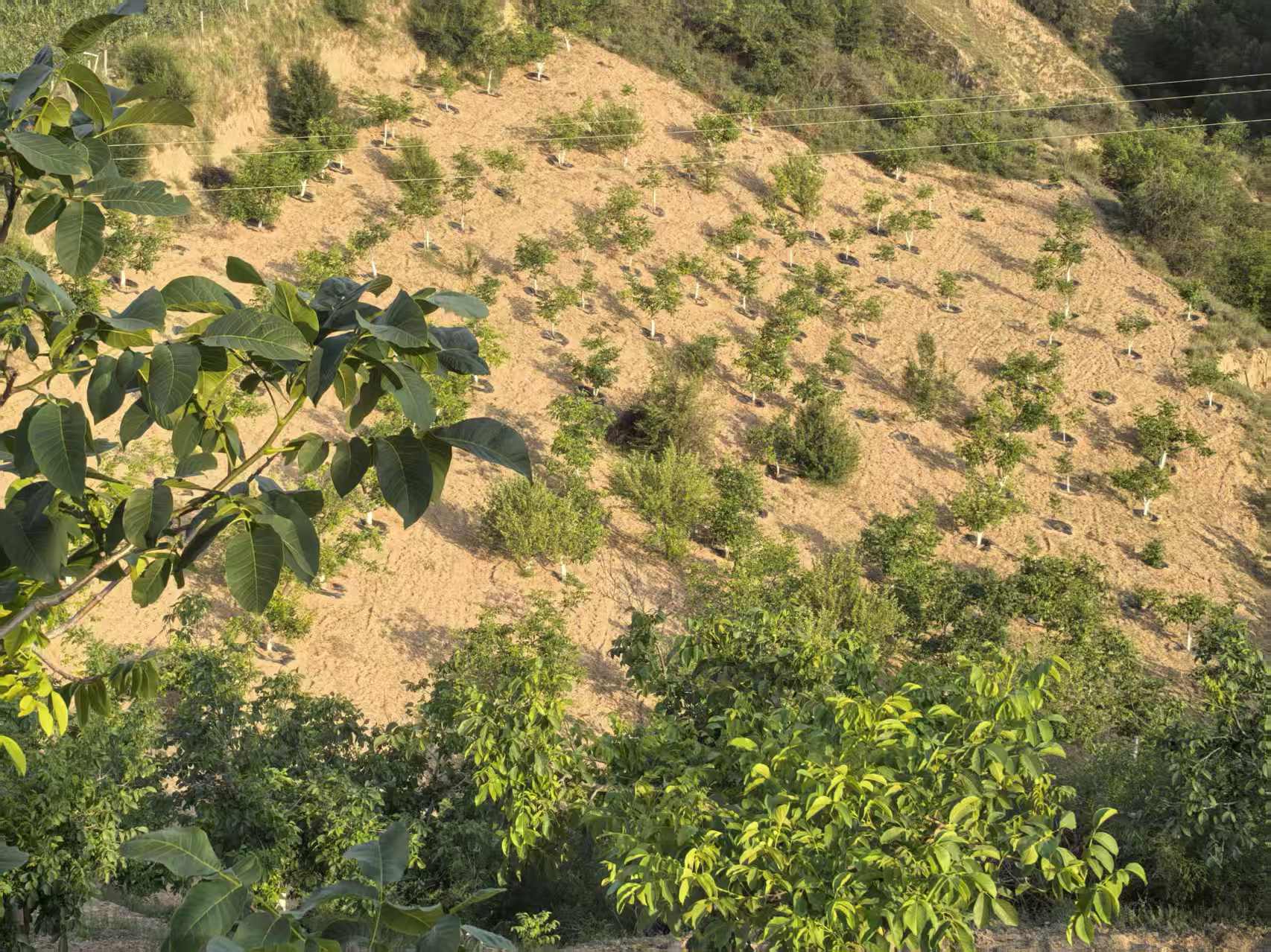 10deb41282cbe76919f4eec00ab26b41