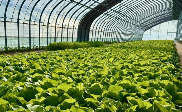 d51d78e4c6292841e4417cc0208bd42a