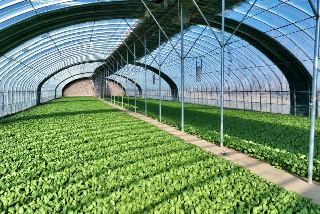 ebd21b85448b5ce6f74d5b544eac1877