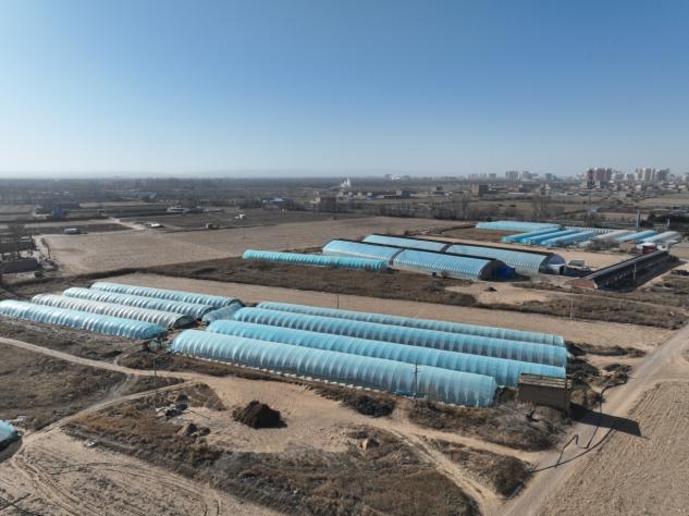 07280c50f73f1c5bcf7b82fd548ff174