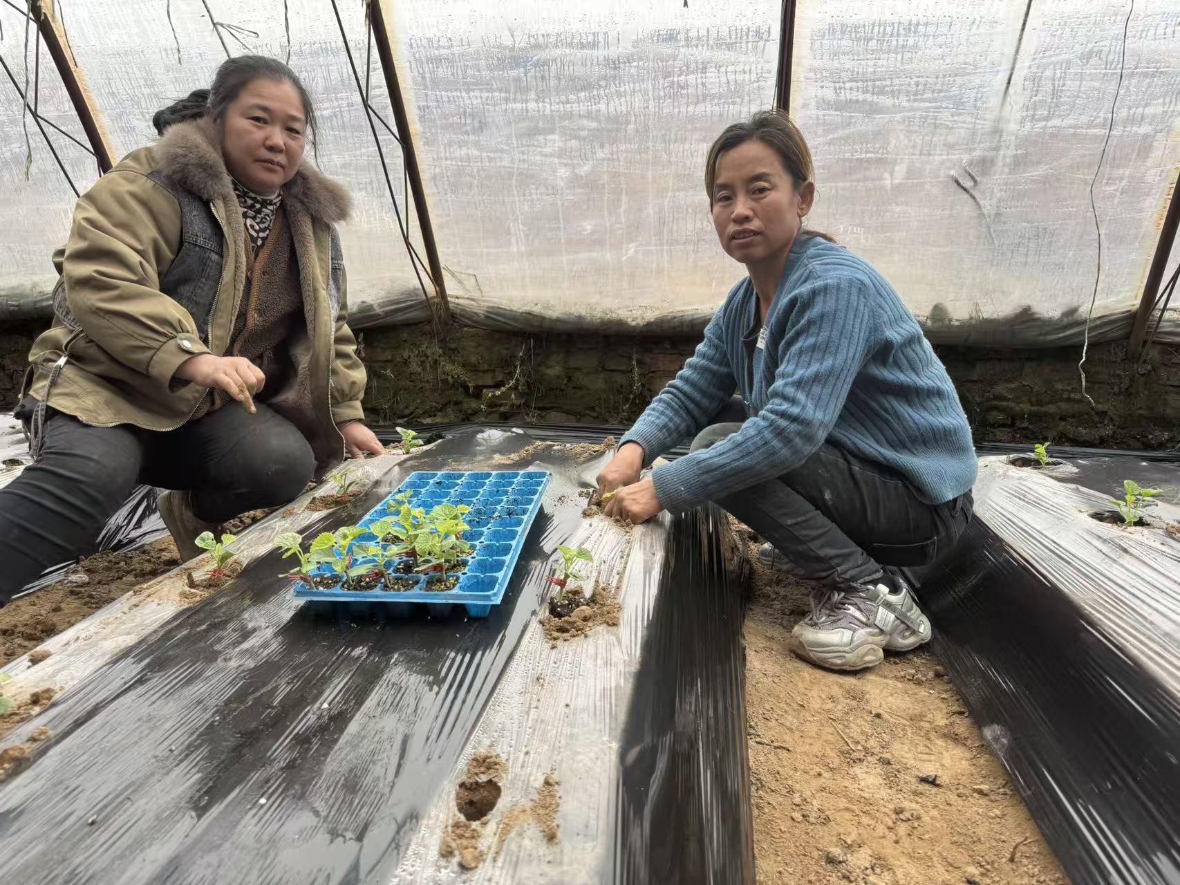 0996ee872139e31310595f4ea086d457